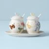 Lenox Butterfly Meadow 7-Piece Condiment Set 1 Lenox Butterfly Meadow 7-Piece Condiment Set -Lenox Shop 833956 w10 e7bcc431 6d54 46c0 8de6 0e98be83039f