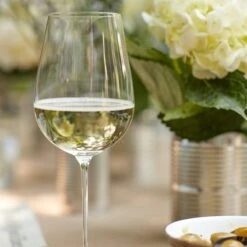 Lenox Signature Series Cool Region 4-Piece Wine Glasses -Lenox Shop 891333 845122 893677 6342794 891019 890732 LNP S23 7