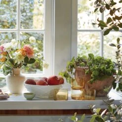 Lenox Tuscany Classics Stackable 4-Piece Short Glasses 32 Lenox Tuscany Classics Stackable 4-Piece Short Glasses -Lenox Shop 894252 w15